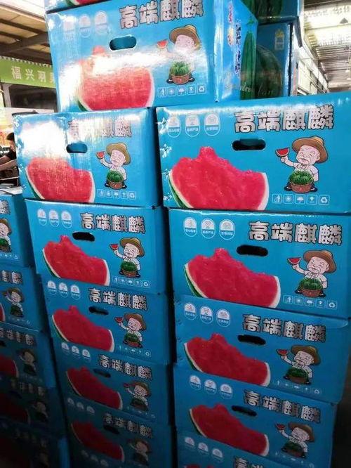 麒麟瓜批发市场今日行情,价格波动与供需分析