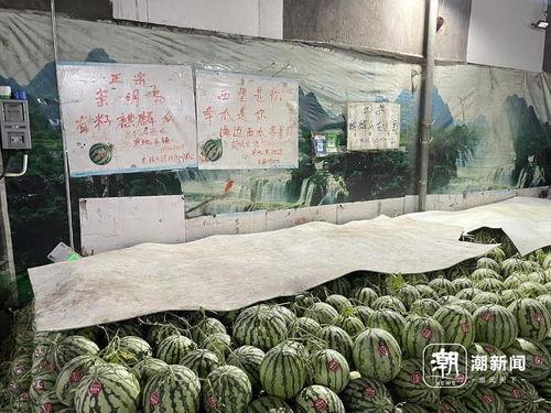 麒麟瓜批发市场今日行情,价格波动与供需分析
