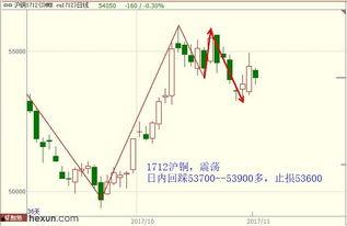 黑瓜今日价格行情最新走势,最新行情解析与趋势展望