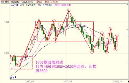 黑瓜今日价格行情最新走势,最新行情解析与趋势展望