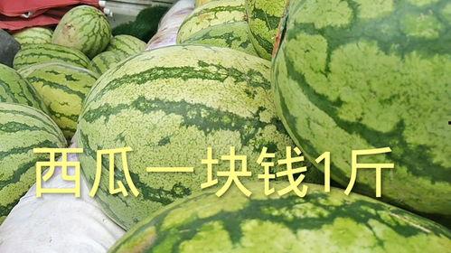今日的瓜价多少一斤