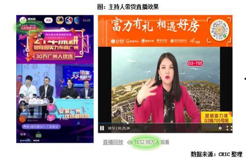 明星网红视频全部播放