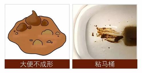 吃京瓜便便黑吗,吃京瓜便便颜色之谜