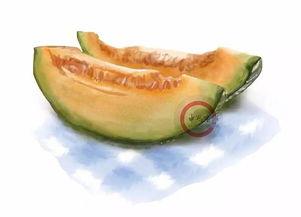 哈密瓜今日最新消息,最新行情与趋势解析