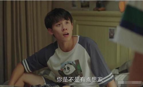 超多明星网红碰面,一场跨界盛宴的璀璨瞬间