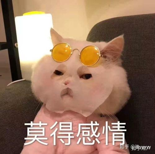 热门小呆瓜表情包,萌态百出，笑点连连