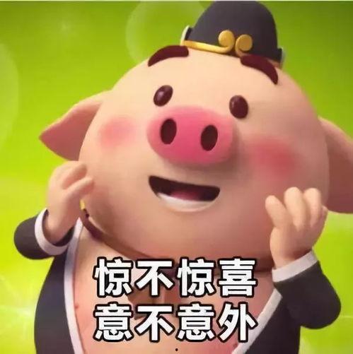 热门小呆瓜表情包,萌态百出，笑点连连