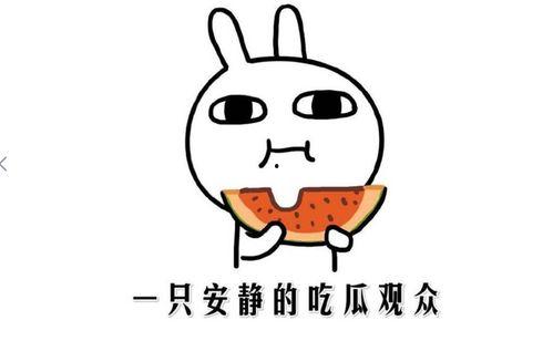 最新吃瓜热门事件,吃瓜群众聚焦的惊天事件！