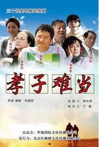 孝子电视剧,传承家国情怀的感人故事