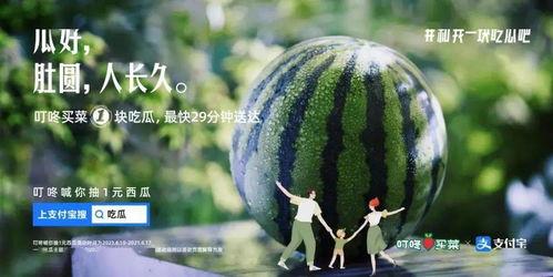 摘瓜的热门文案,热门文案揭秘摘瓜技巧与乐趣