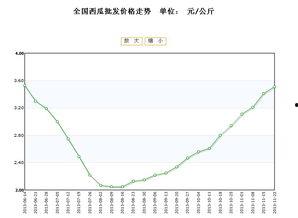 汉瓜今日价格行情最新走势,最新行情走势解析