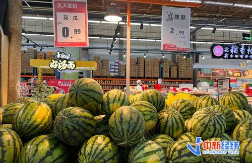 小瓜今日报价官网,实时行情一览，洞察市场动态”