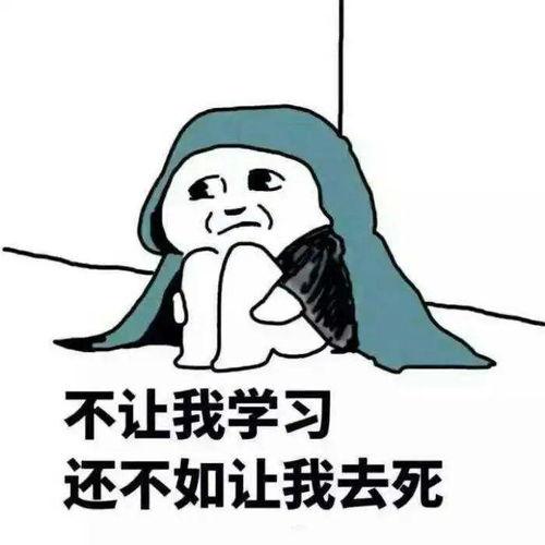摘瓜的热门文案搞笑版,笑料百出，瓜农的欢乐日常