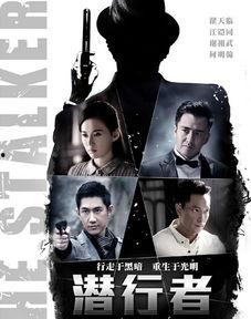 潜行者电视剧,暗影中的正义守护者