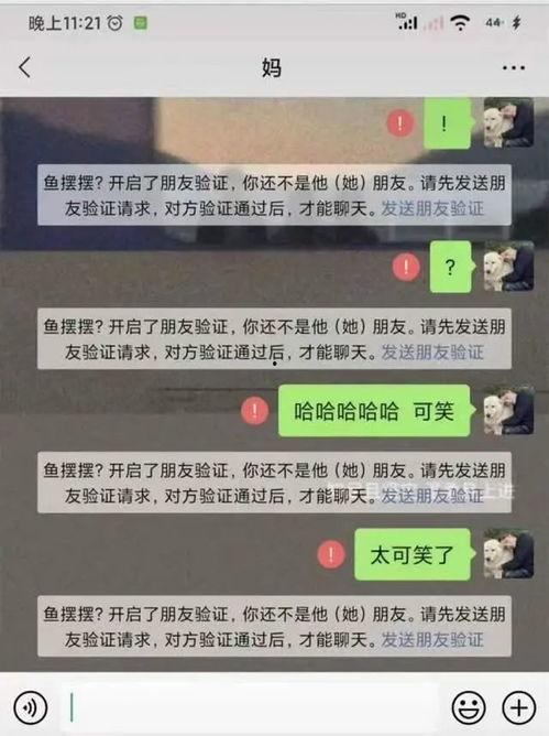 吃瓜突然被拉黑,揭秘网络社交的微妙边界