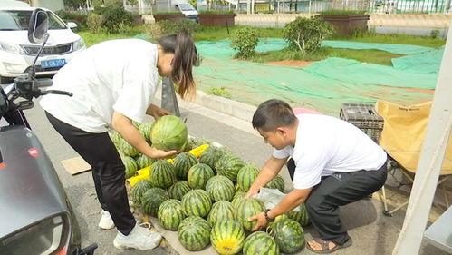 黑科吃瓜网,揭秘校园热点事件，带你领略校园风云