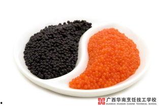 51cg热门今日吃瓜鱼子酱,今日吃瓜鱼子酱，揭秘网红美食背后的故事