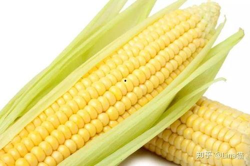 黑老瓜吃玉米苗怎么办,防治策略与应对措施