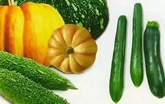 几种热门瓜的种子图片,盘点热门瓜种子的魅力风采