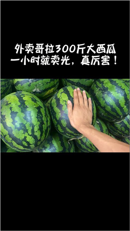 瓜哥热门大瓜,最新热门大瓜事件深度解析