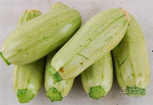 吃瓜百科今日首页最新