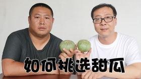 黑哥吃瓜官网,揭秘娱乐圈幕后故事，带你领略明星真实生活