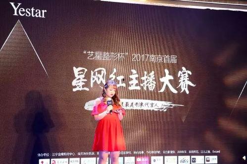 刘记明星网红版,揭秘娱乐圈的璀璨星途与网红风采