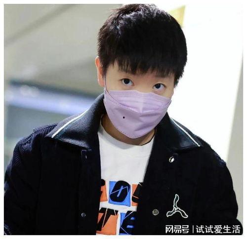 刘记明星网红版,揭秘娱乐圈的璀璨星途与网红风采