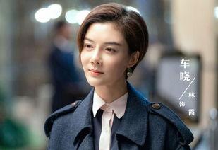 激荡电视剧,时代浪潮中的奋斗传奇