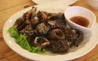 黑蒜凉瓜炖海螺可以吃吗,养生滋补的佳肴推荐