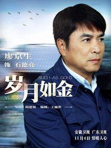 岁月如金电视剧,时光流转中的情感岁月