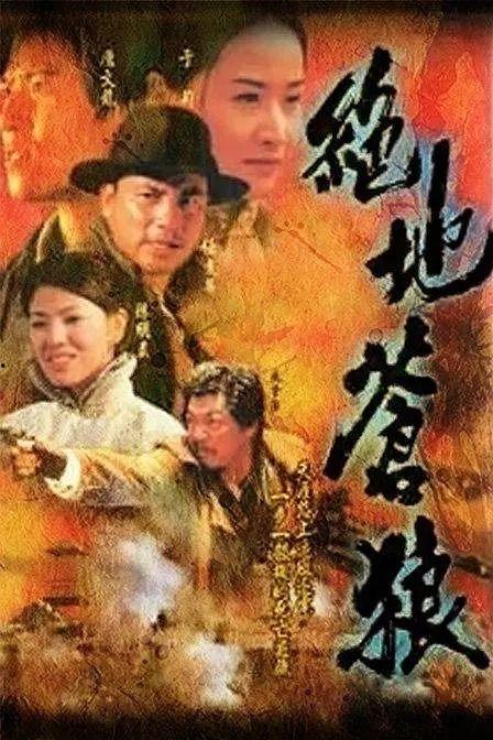苍狼电视剧,烽火岁月里的铁血传奇