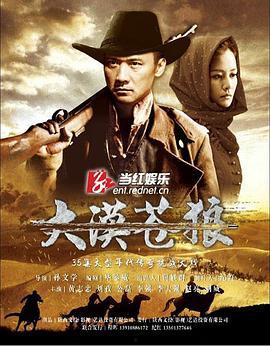 苍狼电视剧,烽火岁月里的铁血传奇