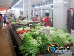 今日蒲瓜菜价格行情最新,涨跌波动，市场动态一览
