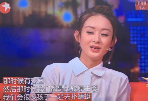 冒牌明星网红有哪些,揭秘冒牌明星网红的真面目