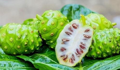 zzztt46黑料吃瓜,吃瓜群众热议背后的真相