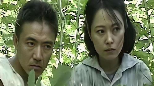 农村电视剧,农村生活的温馨画卷